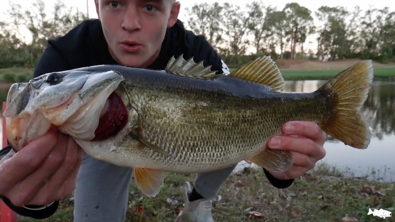 Catching BIG Bass in Florida Golf Course Ponds
