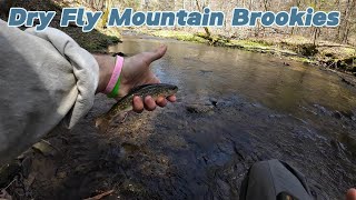Early Spring Dry Fly Mountain Brookies