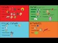 Cranial Nerves and Their Functions