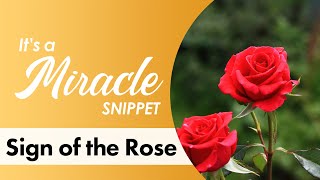 Sign of the Rose  It's a Miracle Snippet