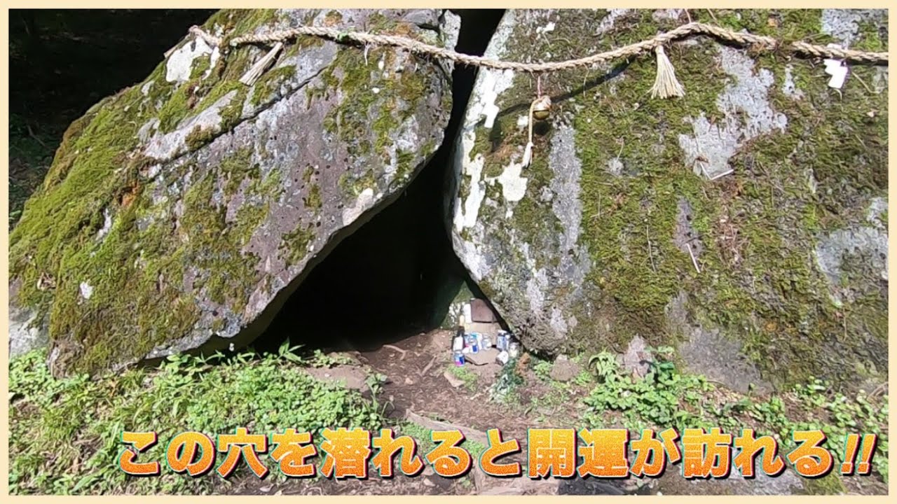 【奇跡】会うと幸運になると言われてる生き物に遭遇‼【丹内山神社】これぞスピリチュアル‼
