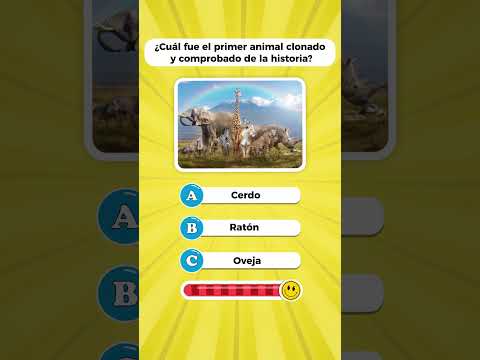 Responde cada pregunta en 3 segundos ⏰📚