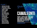 Il meglio di Camaleonti - Grandi successi vol.2 (Il meglio della musica Italiana )