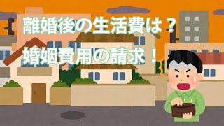 【離婚編5】離婚後の生活費！婚姻費用の請求について