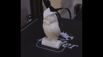 Timelapse 5 - Owl