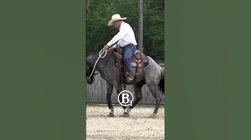 From the collection:  How To Teach a Horse To Spin Part 2