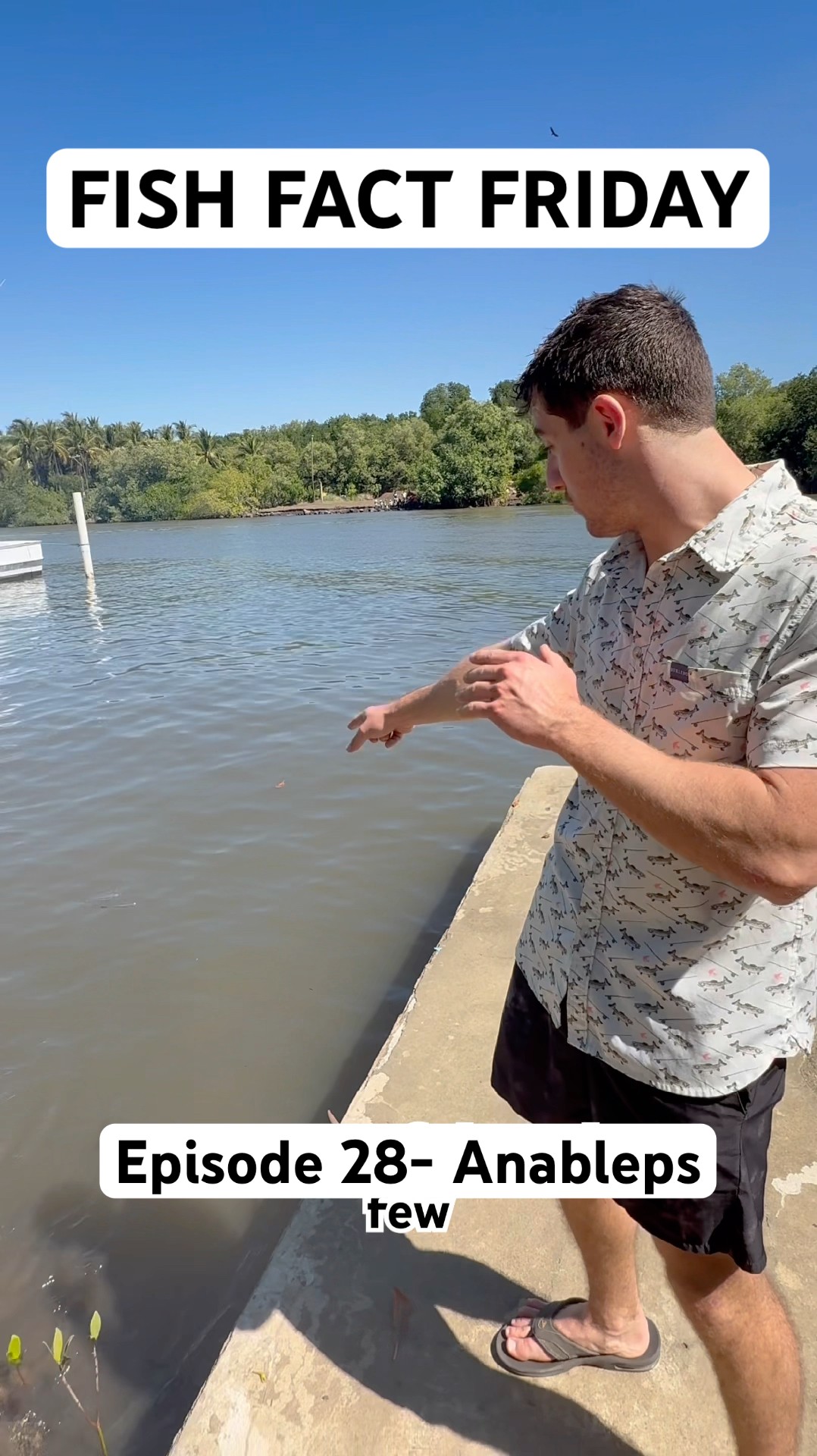 This Fish Has 4 Eyes! #fishfactfriday - YouTube