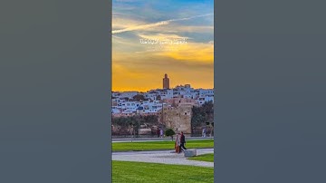 سورة المؤمنون | الآية 31-40 ❤️ #ياسر_الدوسري #القران_الكريم #هيهات_هيهات_لما_توعدون #ايات