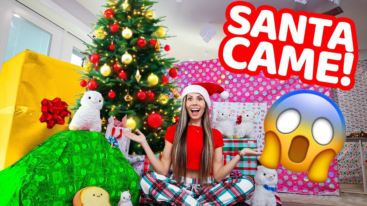 WHAT DID SANTA BRING US?! *CHRISTMAS 2024*