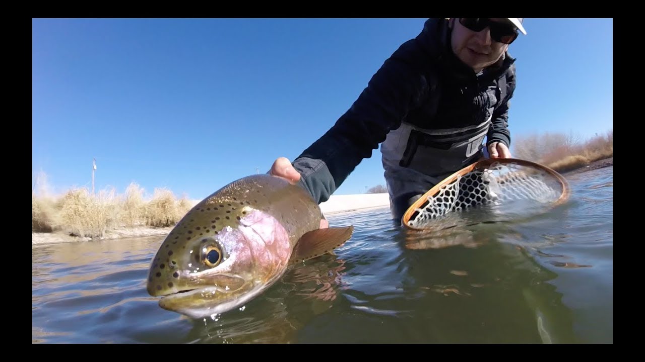 Fly Fishing the Arkansas River Pueblo Tailwater December 2017 - YouTube