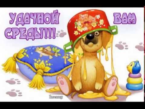Смотреть Прикольные поздравления со средой видео Смотреть Прикольные поздравления со средой видео