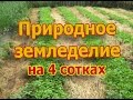 Природное земледелие на 4 сотках. Весенний обзор (укр.)