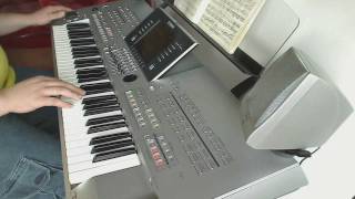 Video thumbnail of "The Eagles - Hotel California (Yamaha Tyros 3 live)"