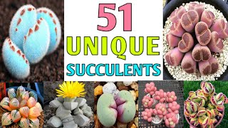 51 Unique Succulents | Rare and Strange Succulent types/varieties | Plant and Planting