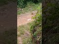 Picha Sir рџђ Picha Sir рџђ