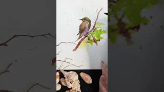 The tiny bird _ quick watercolor painting