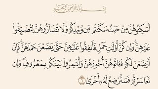 ⁣آيات الأحكام|شرح الآية:{ وَإِن كُنَّ أُولَاتِ حَمْلٍ فَأَنفِقُوا عَلَيْهِنَّ..}-السيد صباح شبر