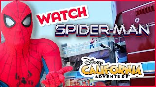 Watch the Amazing SpiderMan! Show at Avengers Campus at Disney California Adventure!
