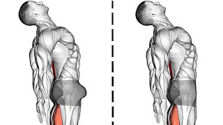 Exercises for Benign Prostatic Hyperplasia - Pelvic Kegel