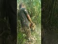 This Tree Was Removed Due To The Crown Of The Tree Had Completely Lifeisbutadream Off Leaving рџ ЏрџЏ This Tree Was Removed Due To The Crown Of The Tree Had Completely Lifeisbutadream Off Leaving рџ ЏрџЏ