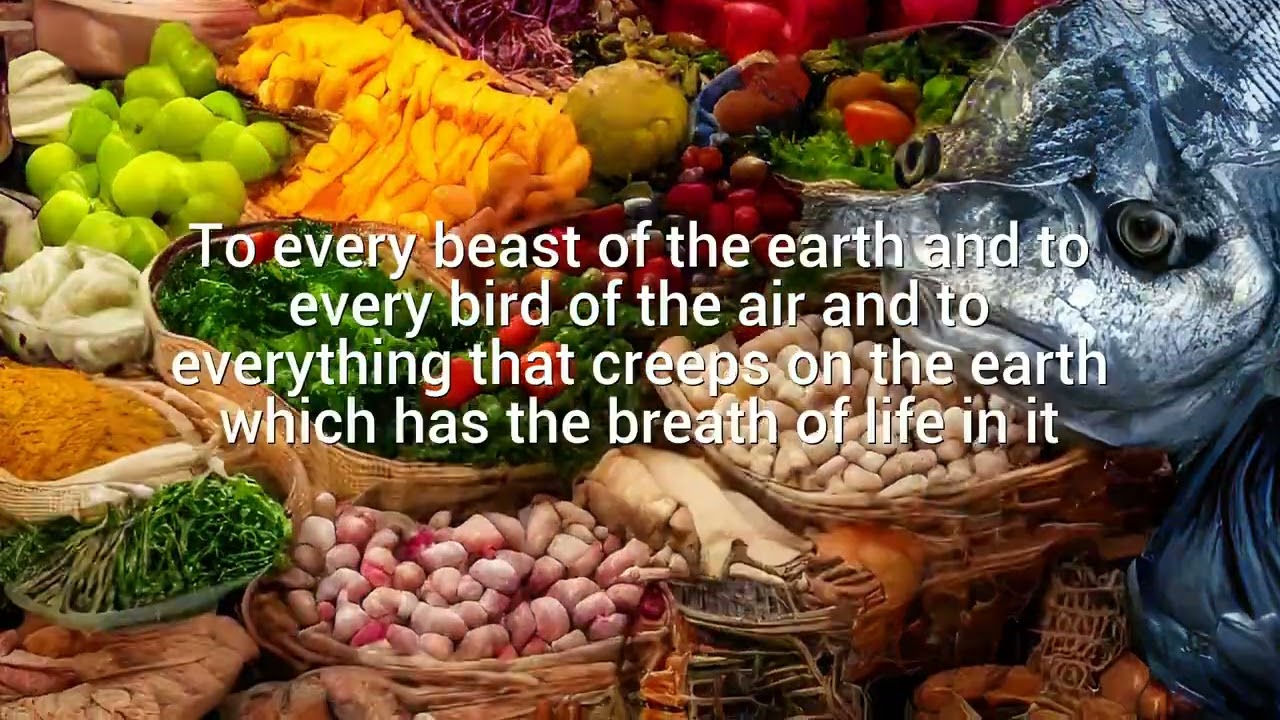 Genesis 1 29 30 YouTube Genesis 1 29 30 YouTube