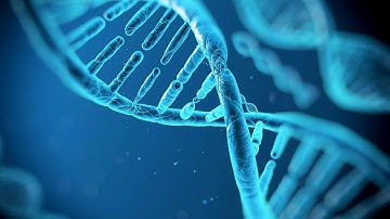 No need hard drives now,  store film/data  in DNA storage