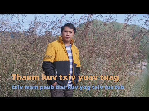 Video: Pab Tau Thaj Chaw Ntawm Cov Txiv Ntoo