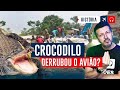 O Avião Que Caiu Por Um CROCODILO EP. 690