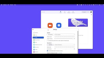 How to suppress background noise in Zoom with Utterly