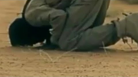 عطر مسمعك 🎧✅||تلاوة تخشع لها القلوب💞||قارئ يبكي القلب💔-//☄🍃||