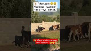 Каналга Катталыңыз. Ош