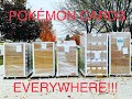 We Bought 5 Pallets of Champion's Path Pokemon Cards!!!