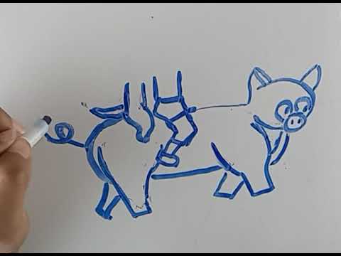 D-O-G: Walking the Dog