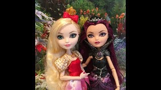 EAH Signature Series Apple White and Raven Queen