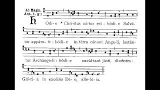 Hodie Christus Natus Est, Hymn