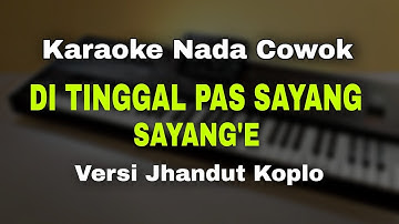 DI TINGGAL PAS SAYANG SAYANGE - ARYA SATRIA || KARAOKE KOPLO NADA COWOK
