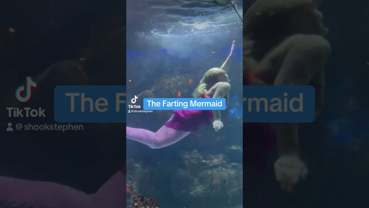The Farting Mermaid Fart Funny Mermaids