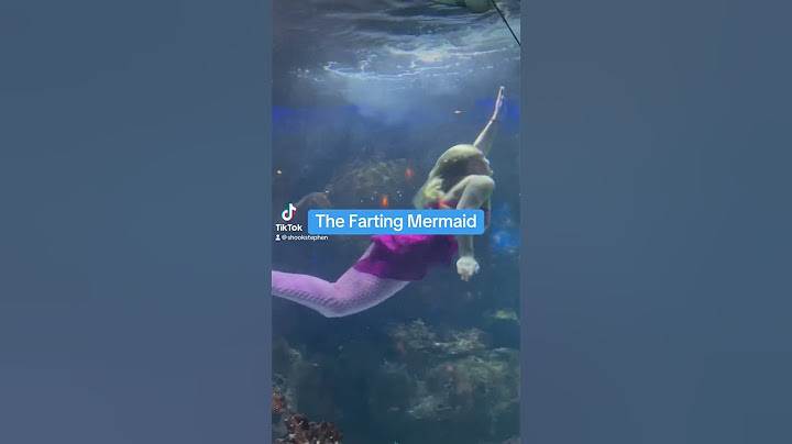The Farting Mermaid #fart #funny #farting #mermaid #mermaids