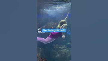 The Farting Mermaid #fart #funny #farting #mermaid #mermaids