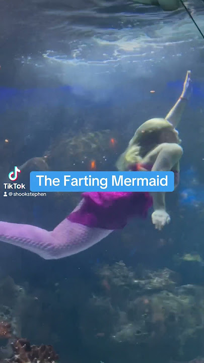 The Farting Mermaid #fart #funny #farting #mermaid #mermaids