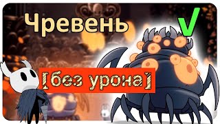 ◈ Hollow Knight: Задумчивый Чревень [ без урона ] ◈