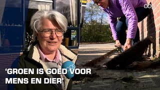 Het NK Tegelwippen is begonnen