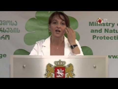 1 87 ბრიფინგი ტყეში ხანძრებზე new