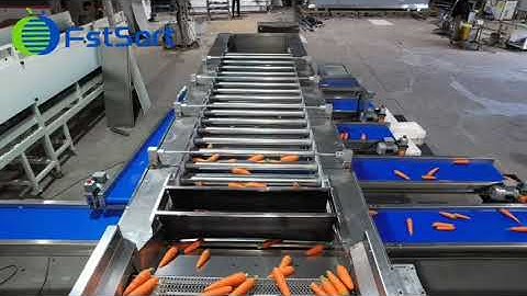 FstSort adjustable carrot sorting grading machine
