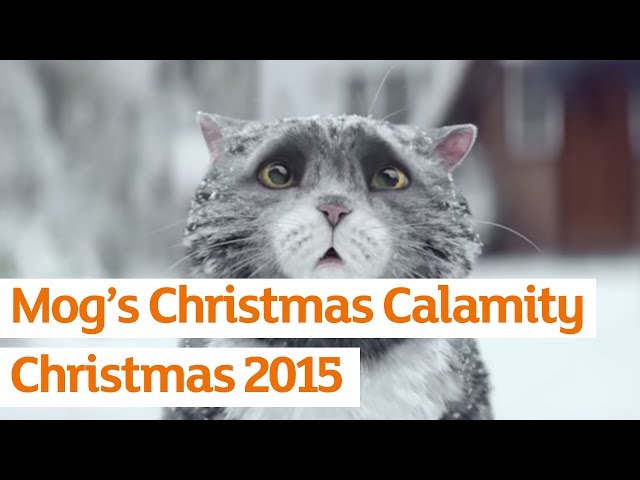 Mog's Christmas Calamity - Sainsbury's Ad