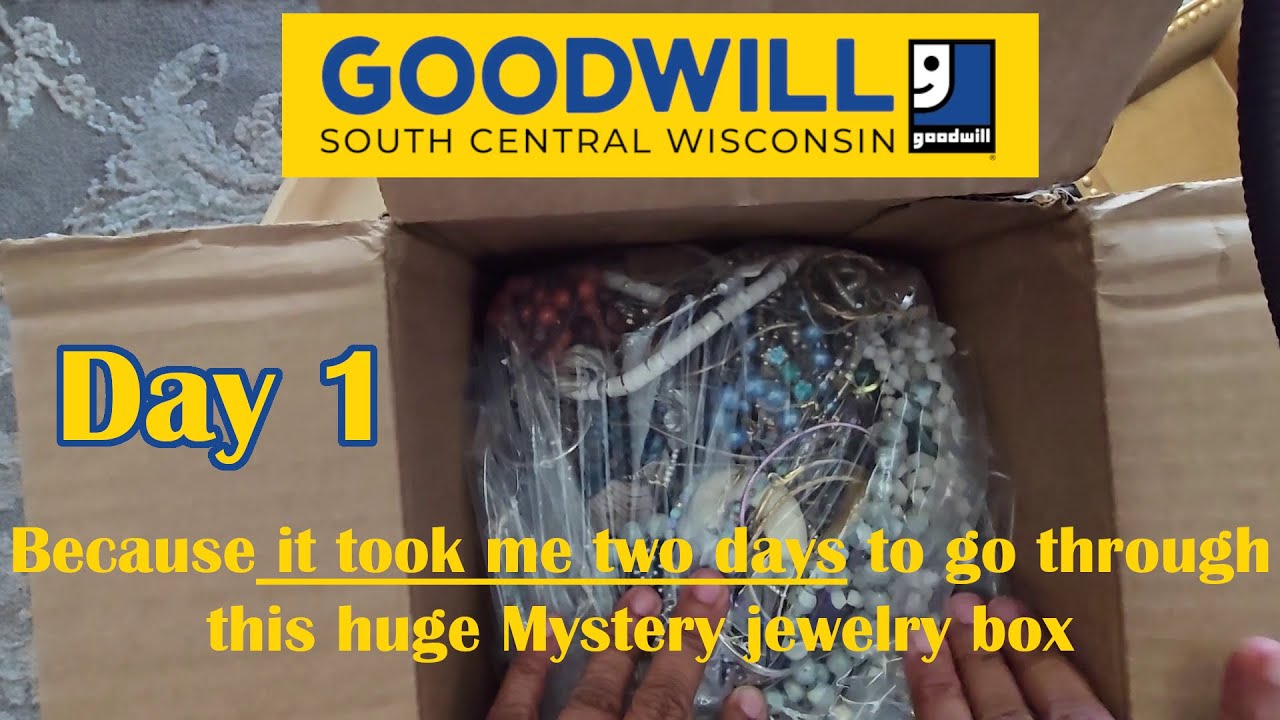 Goodwill SWCI Marketplace Mystery Jewelry Box | Day 1 | ShopGoodwill.com