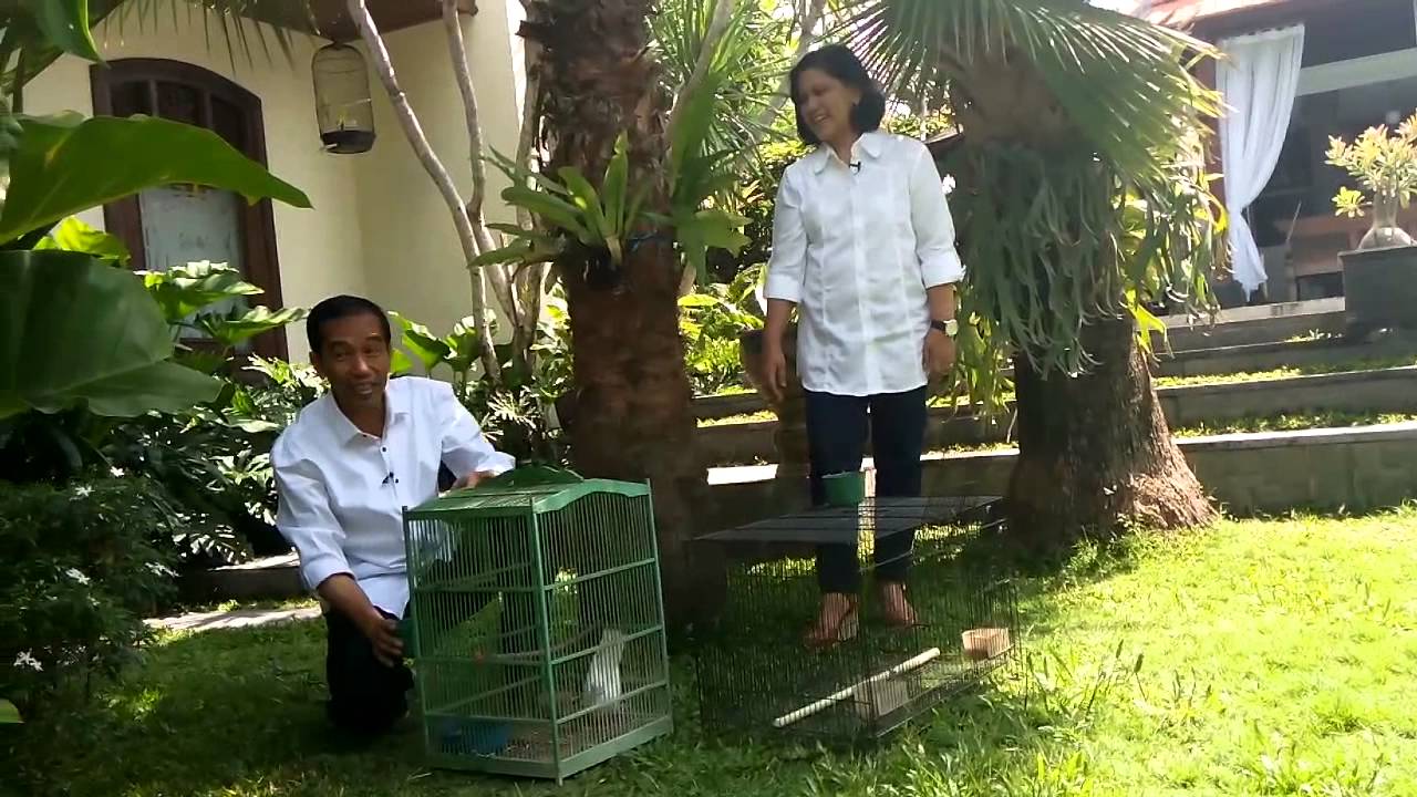 Kehidupan Jokowi di Rumah Solo jokowijklive.com - YouTube