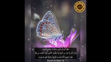 " ألم يأنِ للذين آمنوا أن تخشع قلوبهم لذكر الله.. " - تلاوة مؤثرة بصوت القارئ الشيخ: مشاري العفاسي