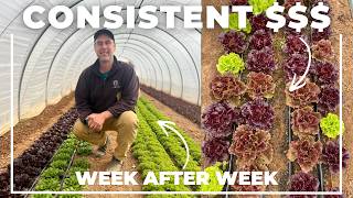 The One Crop That Funds His Entire Farm (The Cash Flywheel Crop)
A caterpillar tunnel costs $1,400. One harvest of lettuce at $6/lb produces 400β425 pounds β $2,400 in revenue. The tunnel pays for itself in a single harvest. From that point on, its free infrastructure.
Elliot Seldner at Fair Share Farm in North Carolina built his entire operation on this principle: never invest in anything that cant pay for itself in one harvest. He started in 2014 on 10,000 square feet, farming solo while his wife Emma taught school full-time. Today he farms multiple acres, owns seven acres and leases twelve more, employs a team, and serves 150β200 families per week.
The system: 20 caterpillar tunnels at $1,400 each ($28,000 total), each paying for itself in a single lettuce harvest. Paper pot transplanting puts 2,400 plants in the ground per person per hour. Lettuce turns over in 55 days, producing 5β6 crops per space per year. The result: 40β50 weeks of lettuce production in North Carolina.
Elliot calls lettuce his cash flywheel β the one crop that pays the bills, funds experiments, and keeps the business running year-round while everything else grows. When COVID shut down his restaurant accounts overnight, the system let him pivot from wholesale to direct-to-consumer within weeks.
The one-harvest rule: if it cant pay for itself immediately, it doesnt belong on the farm yet.
π₯ Subscribe for more content on sustainable farming, market farming tips, and business insights! πΏ
π Get time and labor-saving farm tools at https://shop.moderngrower.co
Follow Modern Grower:
β‘οΈ Instagram: https://www.instagram.com/moderngrowerpro/
β‘οΈ Instagram: https://www.instagram.com/moderngrowerco/
Listen to other podcasts on the Modern Grower Podcast Network:
π Carrot Cashflow: https://bit.ly/carrotcashflow
π Farm Small Farm Smart: https://bit.ly/farmsmallfarmsmart
π Farm Small Farm Smart Daily: https://bit.ly/farmsmallfarmsmartdaily
πThe Growing Microgreens Podcast: https://bit.ly/thegrowingmicrogreenspodcast
π Check out Diegos book Sell Everything You Grow on Amazon: https://www.amazon.com/Sell-Everything-You-Grow-Homestead-ebook/dp/B0CJC9NTZF
0:00 β $28,000 in Infrastructure, Paid Off in 20 Harvests
1:15 β The Chicken-and-Egg Problem That Breaks Most Farms
2:30 β Elliot and Emma: 10,000 Sq Ft, Solo, Wife Working Off-Farm
3:15 β The One-Harvest Rule: Run the Math Before You Buy
4:00 β The Tunnel Math: $1,400 Cost, $2,400 First Harvest
5:00 β Scaling to 20 Tunnels ($28K in Free Infrastructure)
6:00 β Tunnels as Umbrellas, Not Greenhouses
7:15 β Paper Pot Efficiency: 2,400 Plants Per Person Per Hour
8:30 β Why 20 Tunnels = 40β50 Weeks of Lettuce Per Year
9:15 β The Cash Flywheel: One Crop Funds Everything Else
11:30 β COVID Pivot: Restaurants to 150 Families Per Week
13:30 β From Leasing to Owning: The Full Transformation
14:15 β How to Apply the One-Harvest Rule to Your Farm
#MarketGardening, #FarmBusiness, #CaterpillarTunnel, #FarmInfrastructure, #FarmProfitability, #MarketGarden, #SmallFarm, #FairShareFarm, #OneHarvestRule, #MarketFarmer, #ModernGrower, #FarmSmart, #CashFlowFarming, #GrowForProfit, #FarmingBusiness, #farmsmallfarmsmart, #carrotcashflow
**** Modern Grower and Diego Footer participate in the Amazon Services LLC Associates Program, an affiliate advertising program designed to provide a means for sites to earn advertising fees by advertising and linking to Amazon.com. The One Crop That Funds His Entire Farm (The Cash Flywheel Crop)