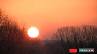 Download Lagu Sape Dayak Instrument Termerdu. MP3